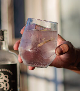 gin tonic con 2859 y jengibre